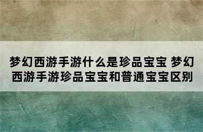 梦幻西游手游什么是珍品宝宝 梦幻西游手游珍品宝宝和普通宝宝区别